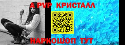 шишки Новодвинск