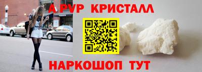 шишки Новодвинск