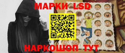 шишки Новодвинск