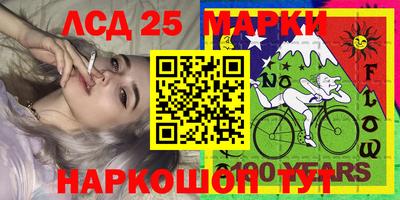 шишки Новодвинск