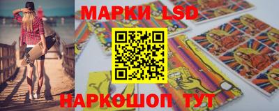 шишки Новодвинск