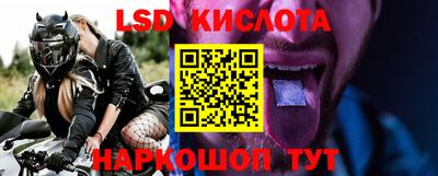 шишки Новодвинск