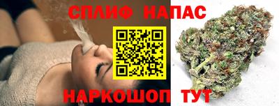 шишки Новодвинск
