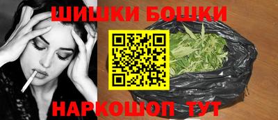 шишки Новодвинск