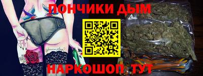 шишки Новодвинск