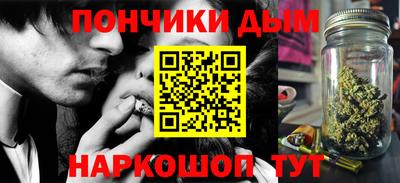 шишки Новодвинск
