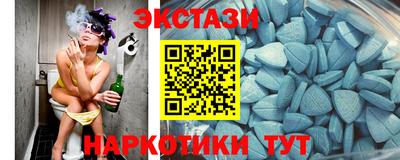 шишки Новодвинск