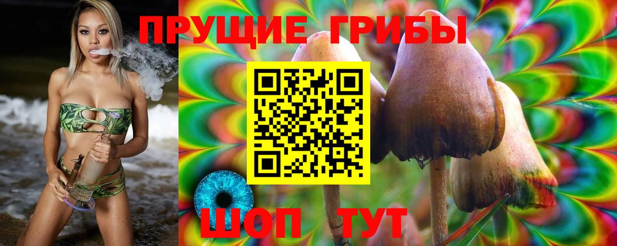 Галлюциногенные грибы GOLDEN TEACHER Шелехов